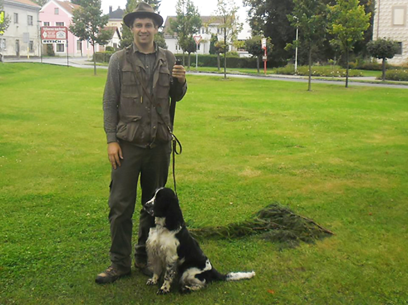 English springer spaniel